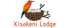 Xisakeni Lodge